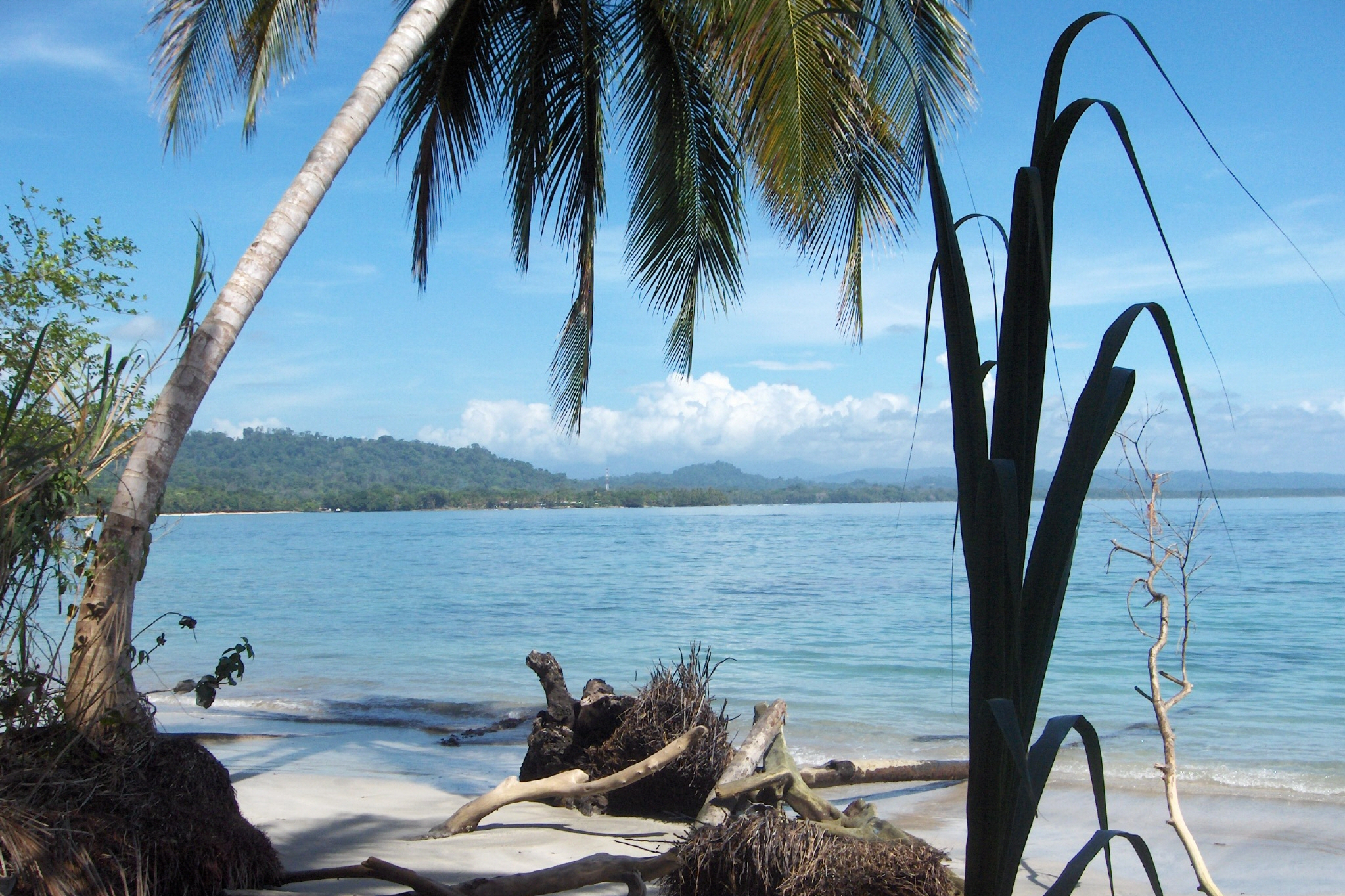 Tijd om reisplannen te maken!